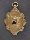 BD091S